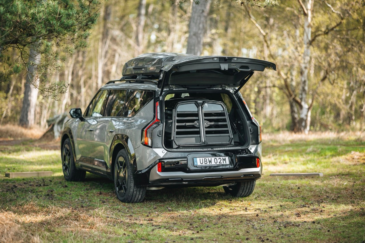 How to Choose a Dog Crate for Car Travel