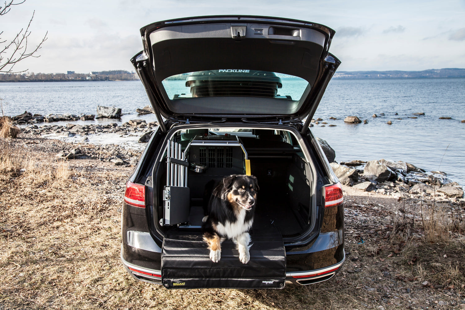 How to Help Your Dog Feel Comfortable in Their Crash-Tested Car Crate