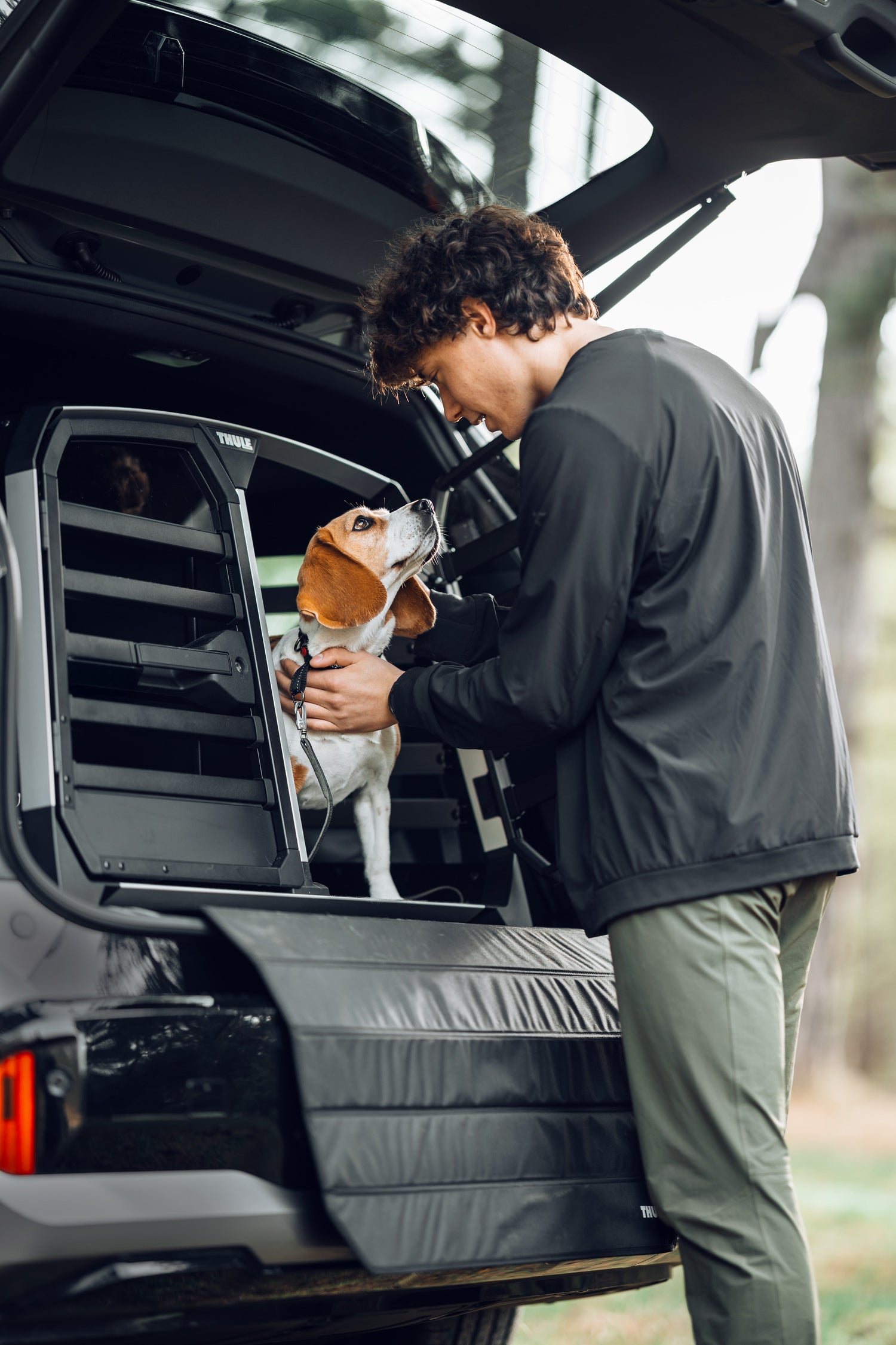 Crash Tested Dog Crates
